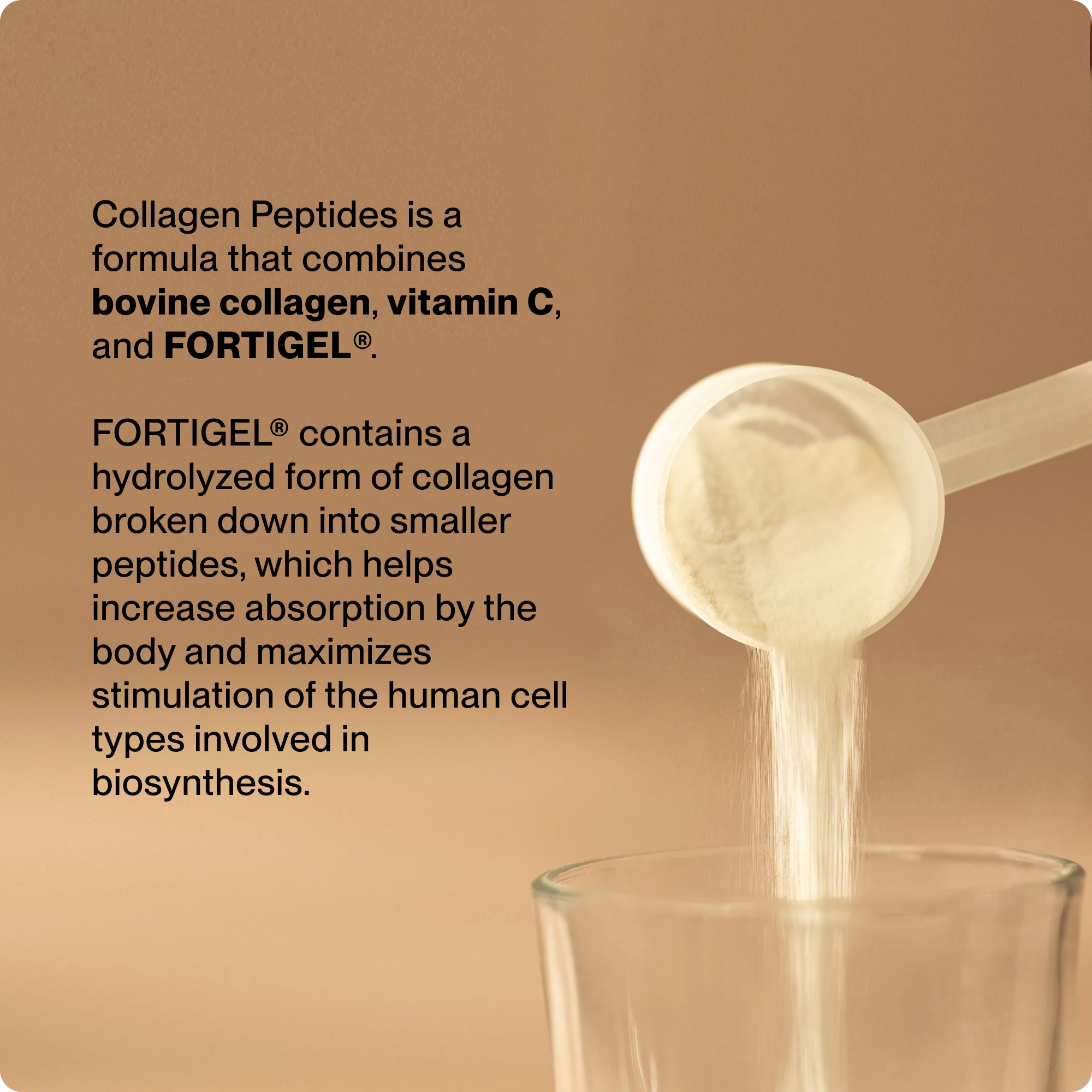 Collagen Peptides - Image 3