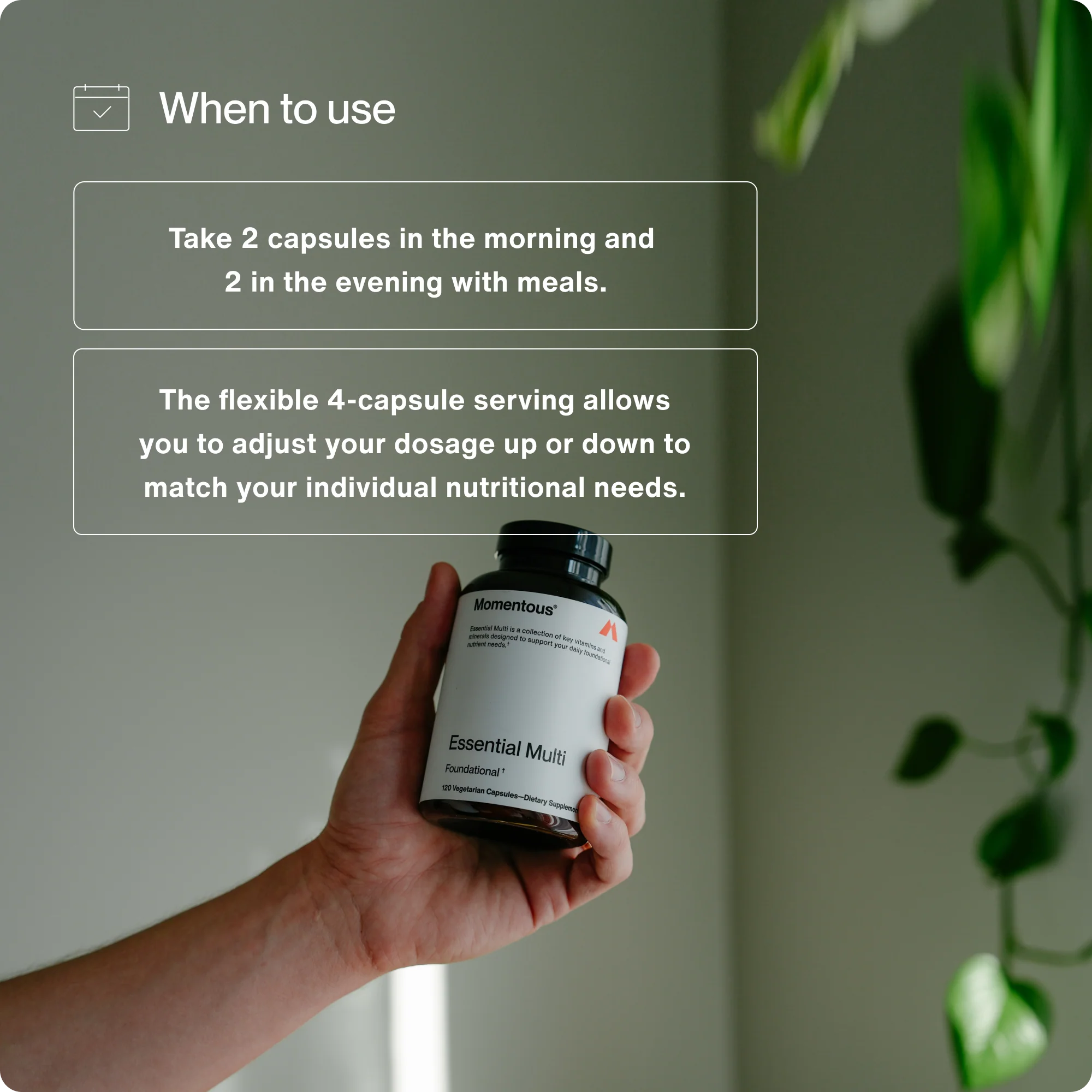 Multivitamin - Image 3